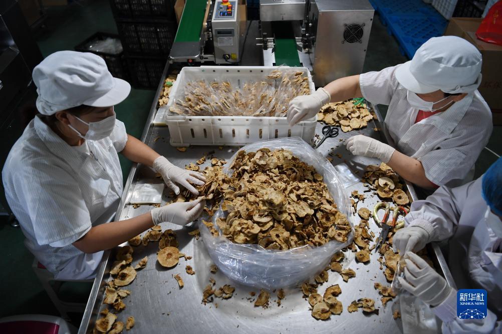宝马线上娱乐中心下载